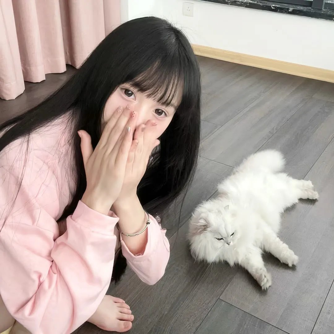 中国人 在线观看